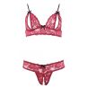 Ensemble lingerie rouge dentelle ouverte