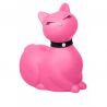 Petit chat vibrant rose