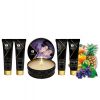 Coffret Secrets Geisha Fruits exotiques Shunga