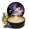 Coffret Secrets Geisha Fruits exotiques Shunga