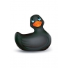 Petit canard vibrant noir