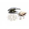Bijoux de seins en perles strass Bijoux Indiscrets